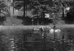 Watering place, 1903