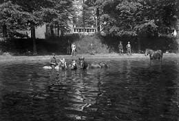 Watering place, 1903